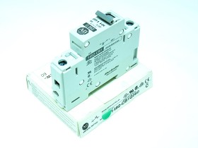 Item image for ALLEN BRADLEY 1492-CB1G060