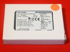 Imagen del artículo para ALLEN BRADLEY 1734-IE2V en condición MFS