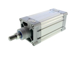 FESTO_DNC100100PPV
